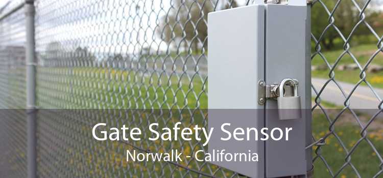 Gate Safety Sensor Norwalk - California